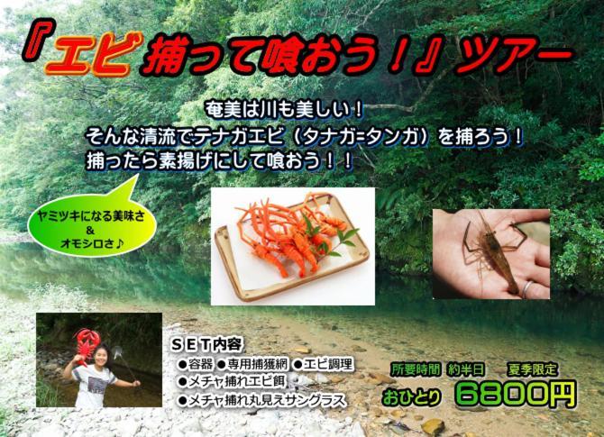 Amami Guest House Showa-So Setouchi  Ngoại thất bức ảnh