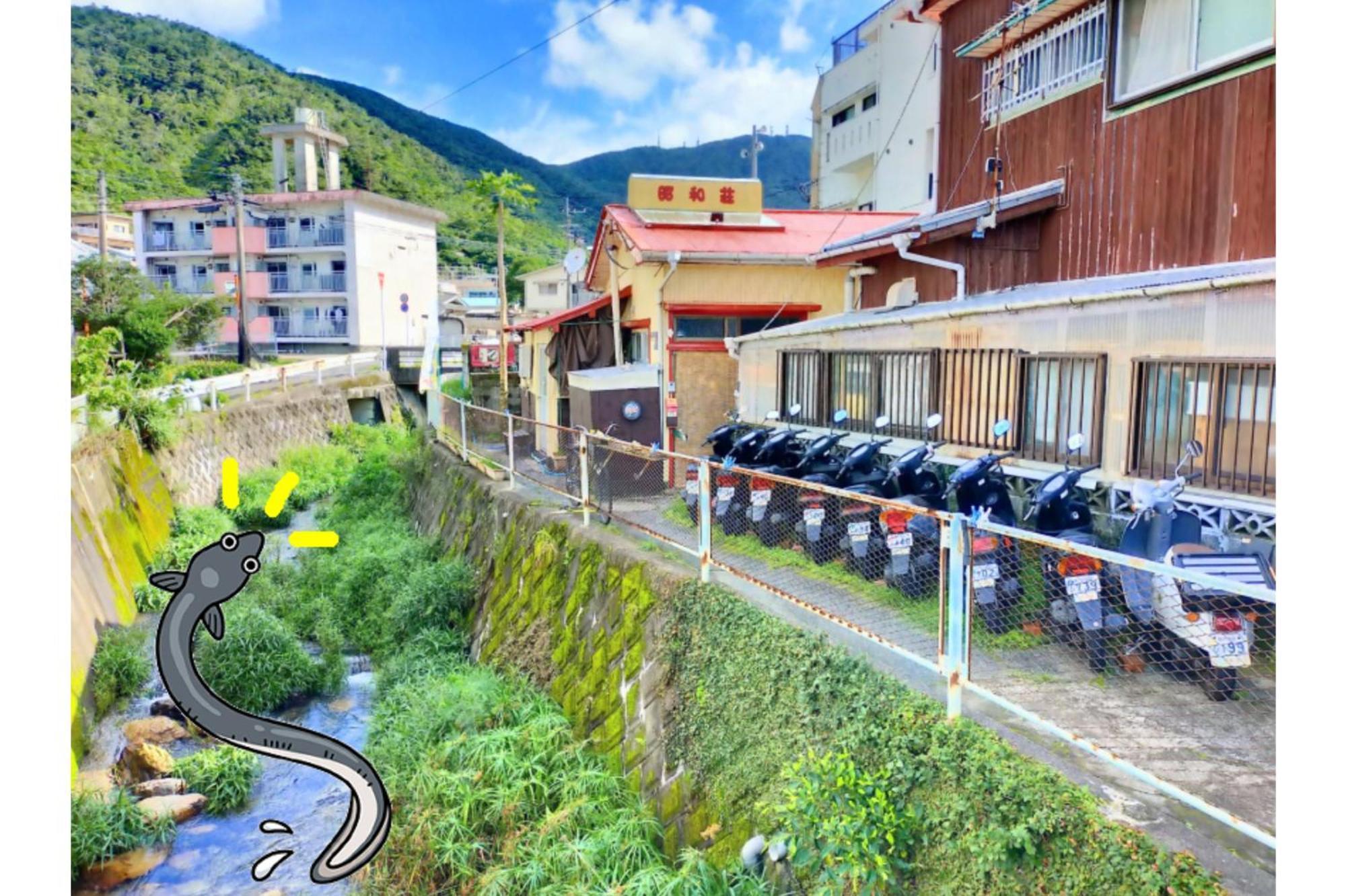Amami Guest House Showa-So Setouchi  Ngoại thất bức ảnh